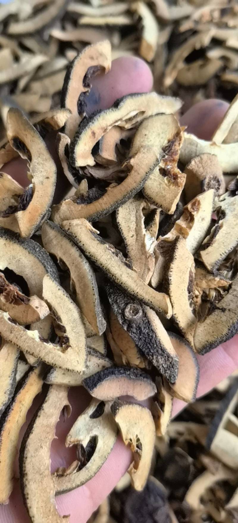 枳壳麸江西枳壳1000g起批关书药业批发中药