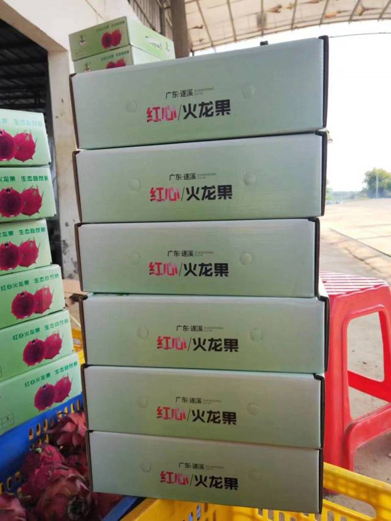广东红心火龙果，花果，产地直销，对接各大工厂量大优惠