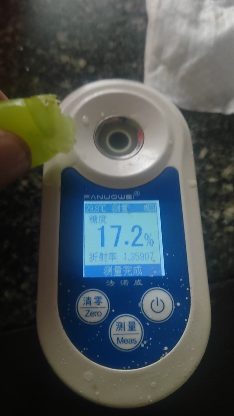 阳光玫瑰