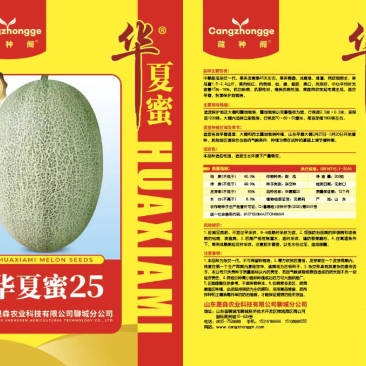 小蜜哈密瓜25种子，抗裂，高产，抗病性强