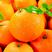 四川青见柑桔，实力代收青见柑橘，批发商，市场连锁商超优先