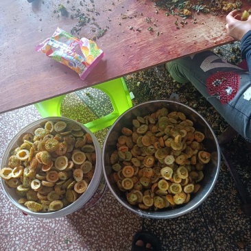 刺梨片