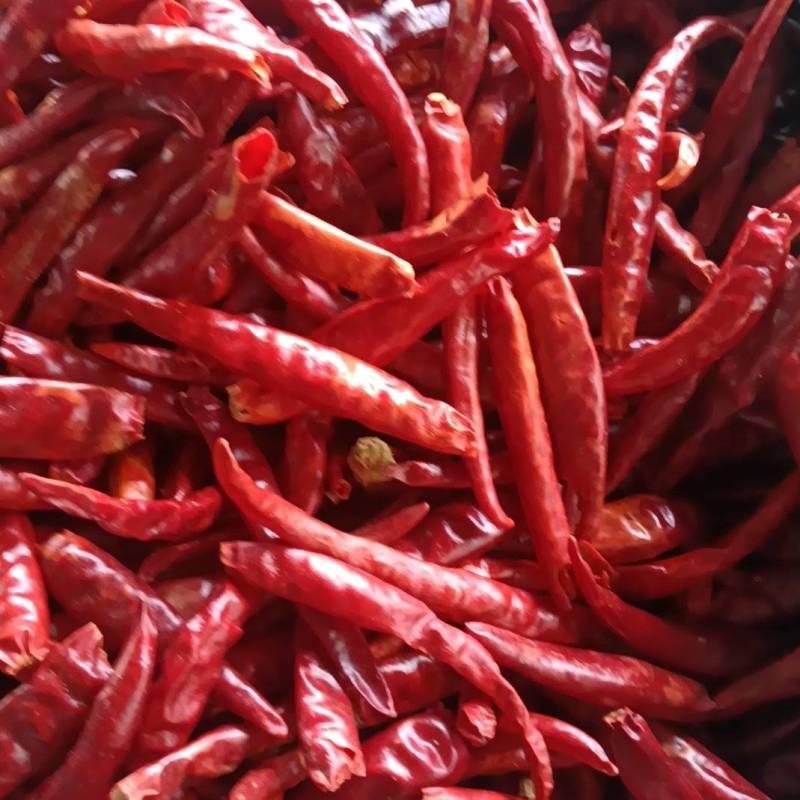 丘北干辣椒数量不多先来先得