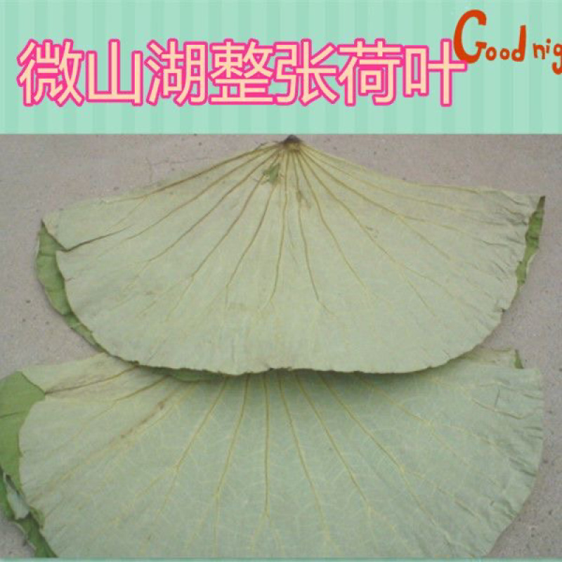 微山湖整张荷叶50斤一包批发