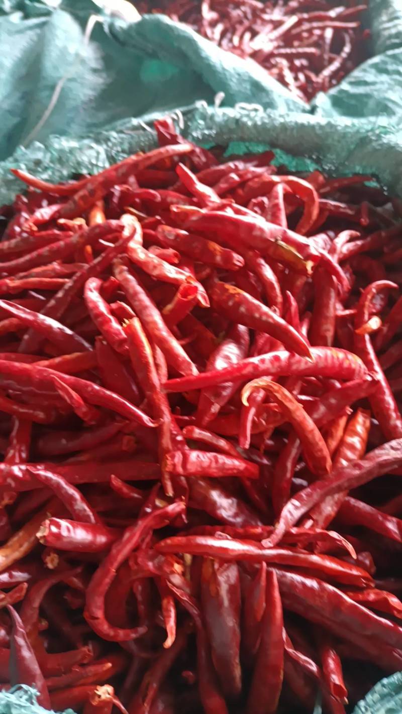 丘北干辣椒数量不多先来先得