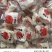 牦牛奶制品