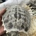鳖甲鳖壳生鳖甲甲鱼壳中药材批发零售各种规格