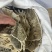 鳖甲鳖壳生鳖甲甲鱼壳中药材批发零售各种规格