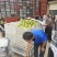 安微产区，青白黄冠梨货源充足，质量好产地直发