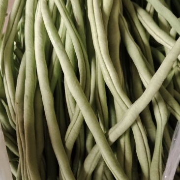 精品，豆王，金豆，白豆角
