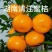 东江湖清江蜜桔品质保证诚信经营欢迎联系接商超市场电商