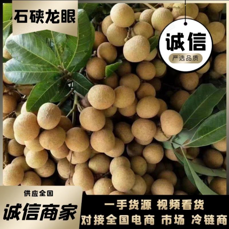 广西平南石硖龙眼已经大量上20m以上2.2元一斤