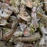 活煮熟冻皮皮虾大肉虾5到8个一盒400克
