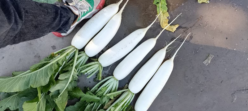 水果萝卜与猪肉的原材料摆盘图