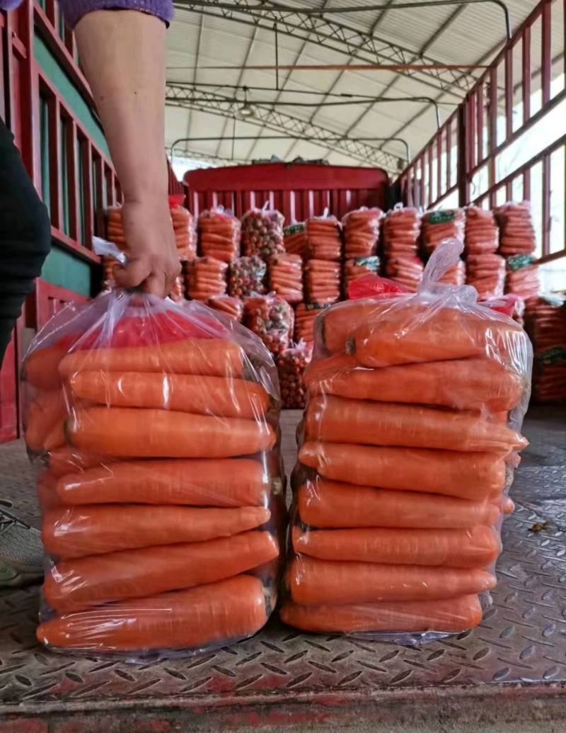 《推荐》河南胡萝卜精品三红胡萝卜诚信经营量大从优