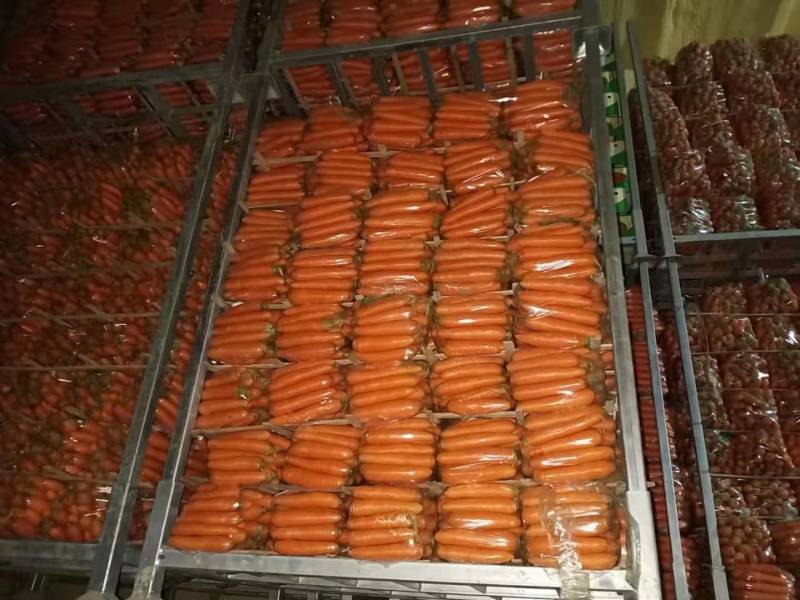 《推荐》河南胡萝卜精品三红胡萝卜诚信经营量大从优