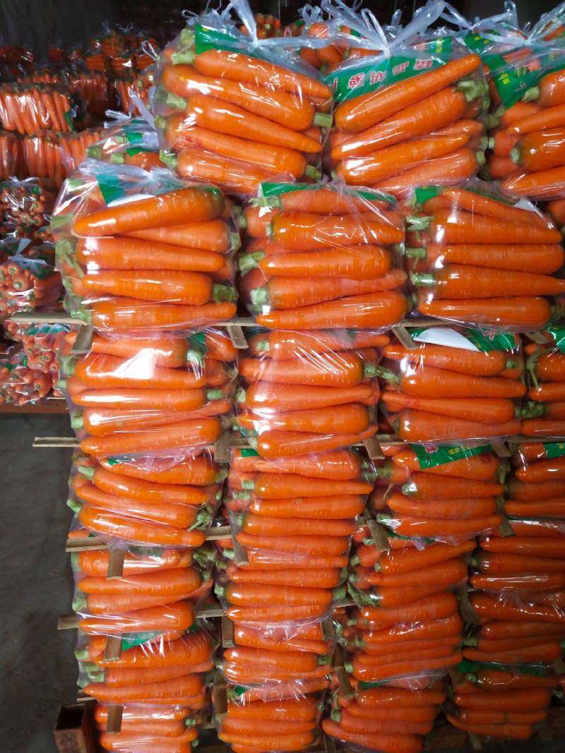 《推荐》河南胡萝卜精品三红胡萝卜诚信经营量大从优