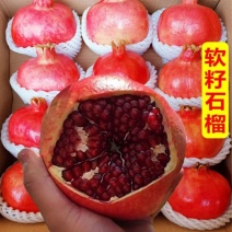 突尼斯软籽石榴大量上市中支持一件代发