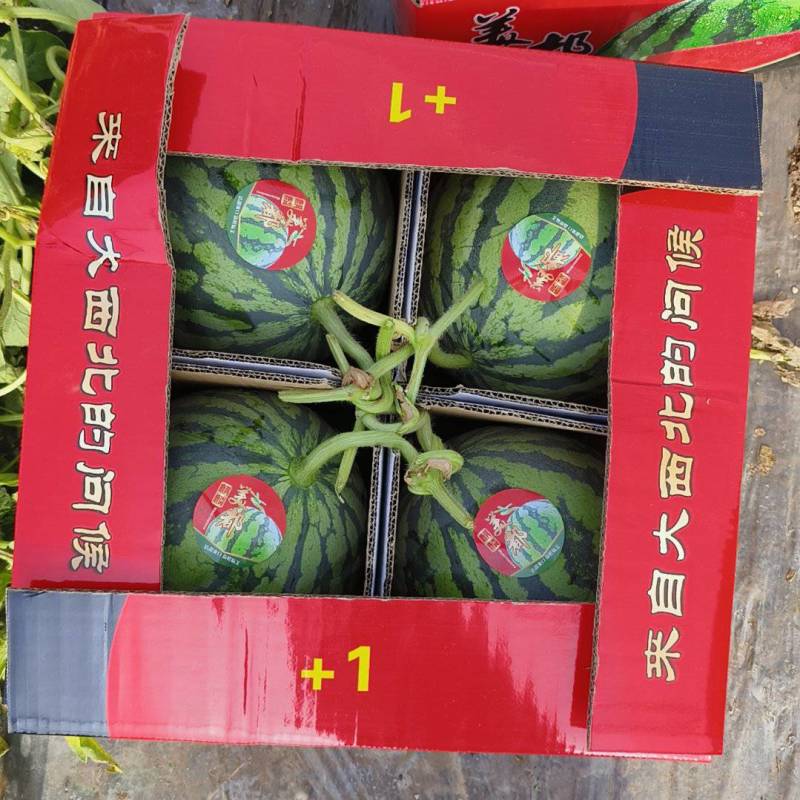 无籽美都西瓜产地一手货，糖度高，红度好，耐运输