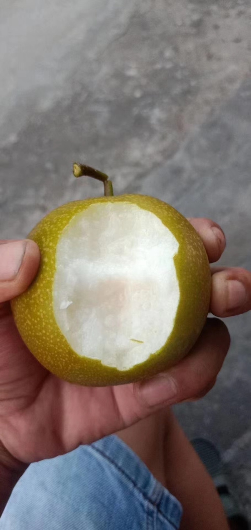 黄花梨，灌阳黄花梨，场地大量有货几百万斤，欢迎老板来视察