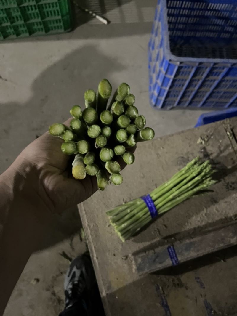 中笋