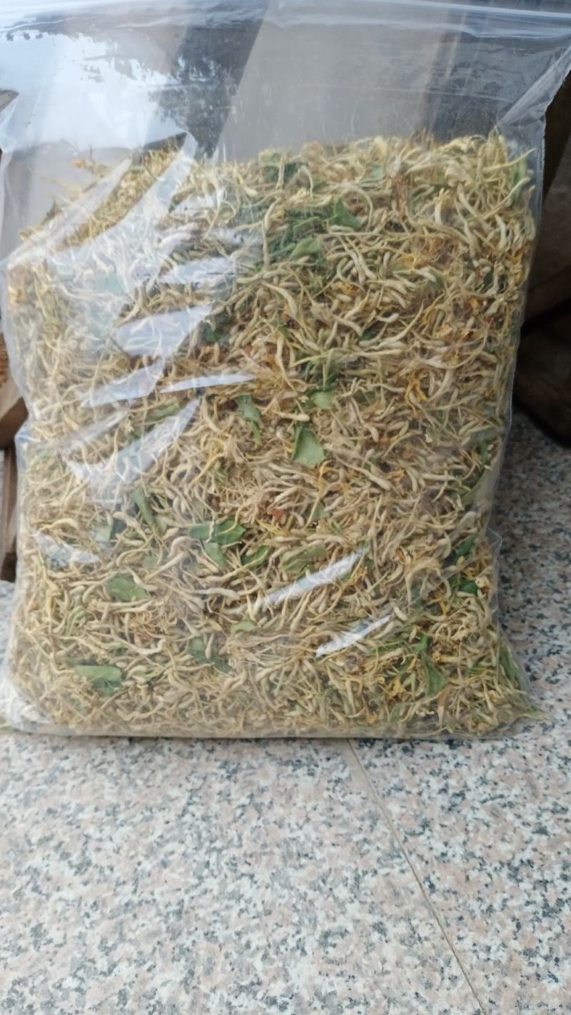金银花盆景老桩，金银花小苗，盆栽地栽都可以大量有货