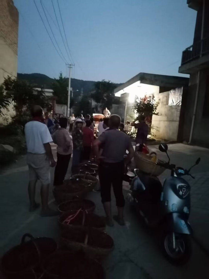 陕西精品大红袍花椒颗粒大颜色鲜红，产地一手货源，配有冷库
