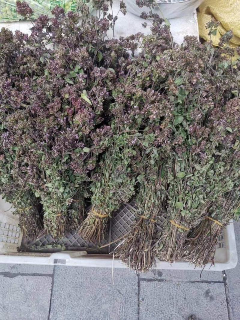 香龙茶