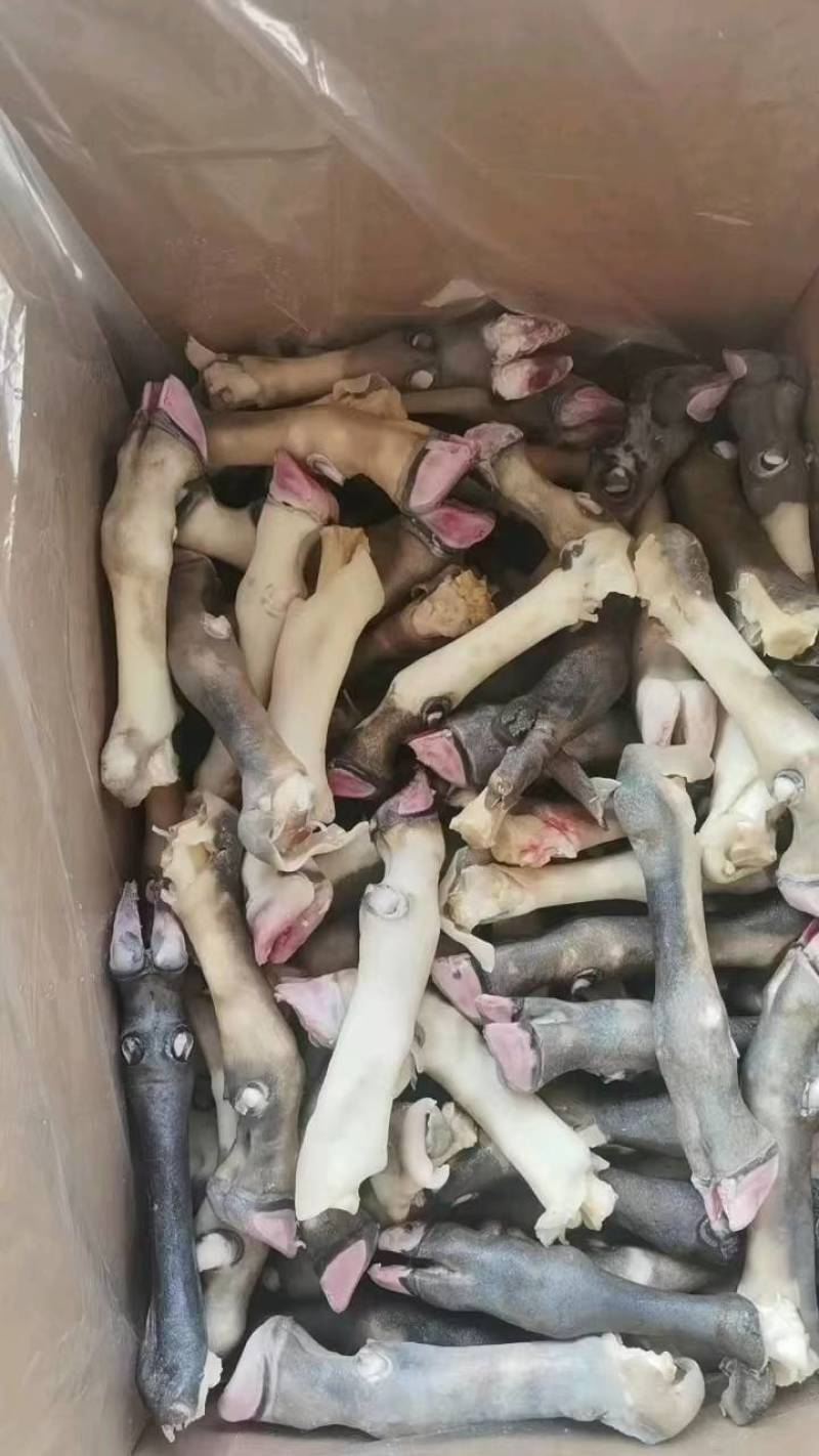 花羊蹄