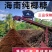 椰糠和椰子纤维