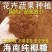 椰糠和椰子纤维