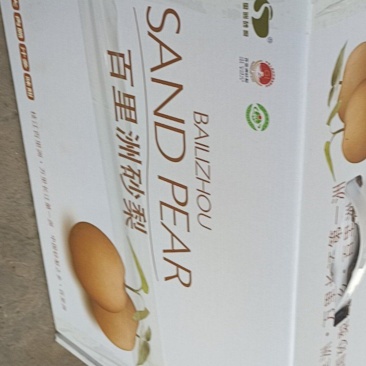 砂梨