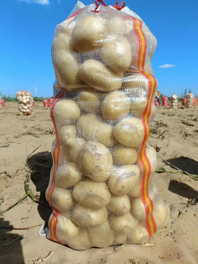 陕北土豆-V7黄心土豆规格齐全大量供货欢迎咨询
