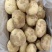 陕北土豆-V7黄心土豆规格齐全大量供货欢迎咨询