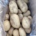 陕北榆林沙地土豆-黄心土豆规格齐全大量供货品种好