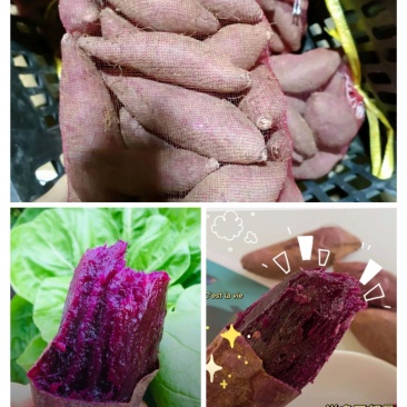 泰紫薯1号拇指薯，蒸烤均可，口感软糯香甜，引流必备品