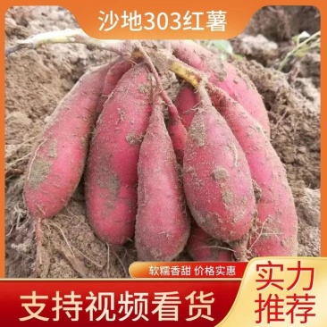 红薯、沙地红薯，西瓜红、供货电商：软糯香甜价格实惠