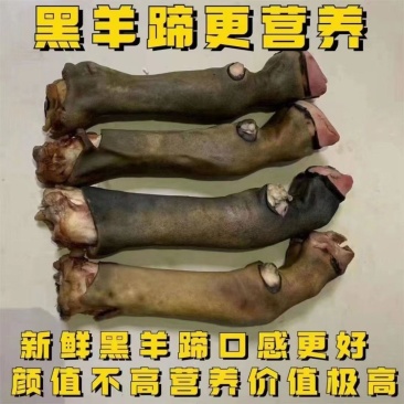 育肥黑花蹄价格便宜
