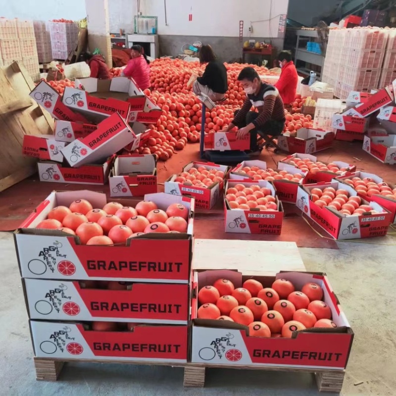 西柚，三红葡萄柚，产地对接大批市场，整车落地配
