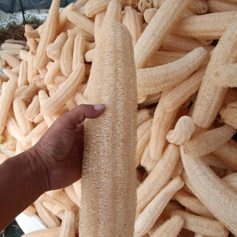 丝瓜络需洗碗神器48一斤50斤起批
