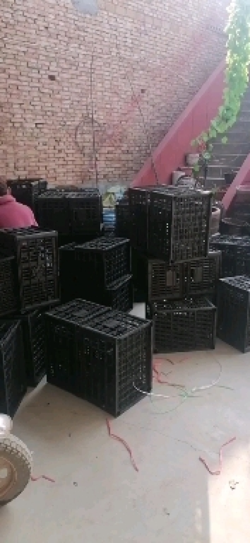 【实力商家】精品核桃大量上市中，产地直发量大从优