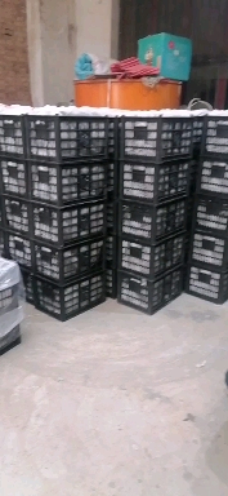 【实力商家】精品核桃大量上市中，产地直发量大从优