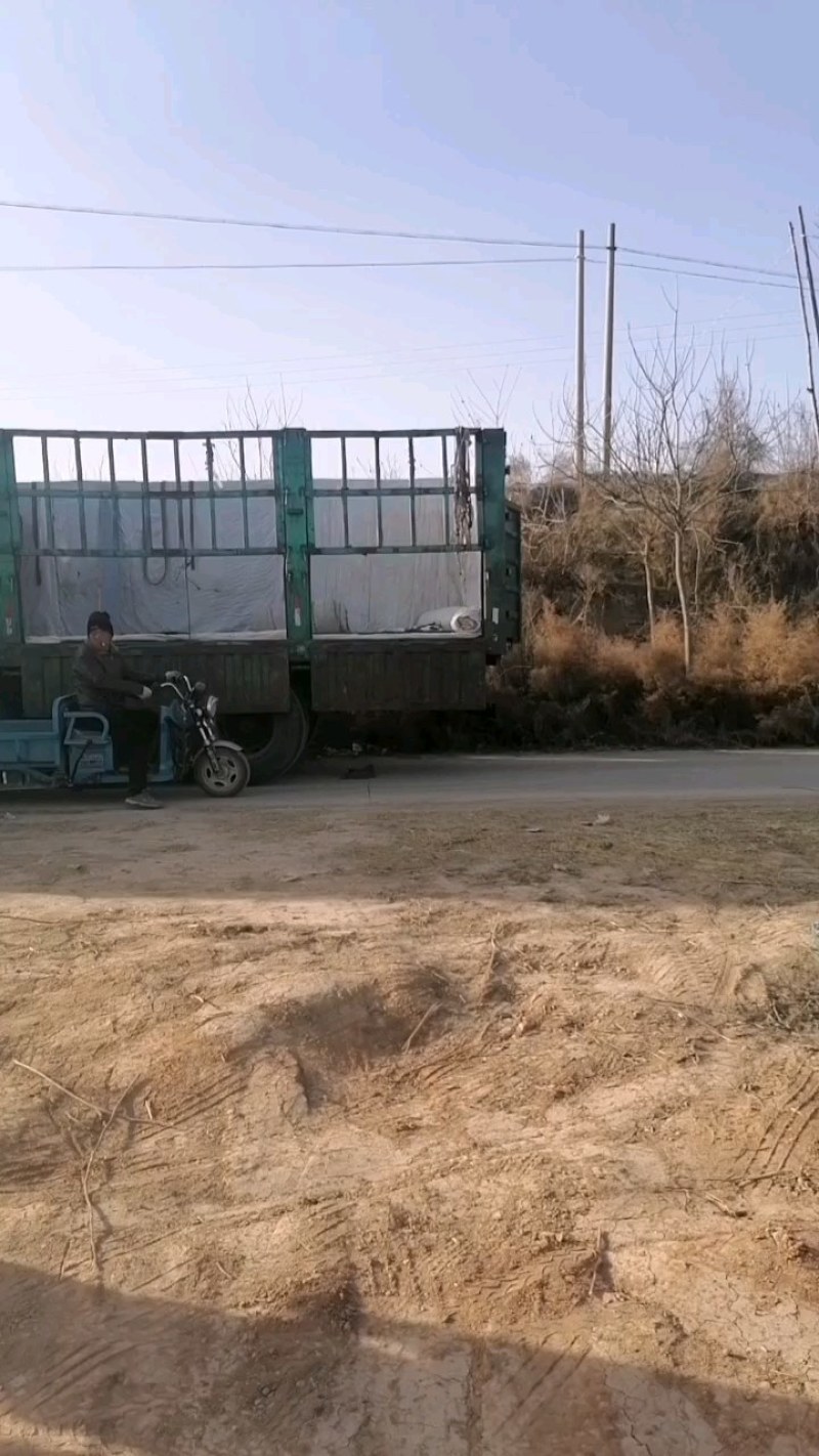 【实力商家】精品核桃大量上市中，产地直发量大从优