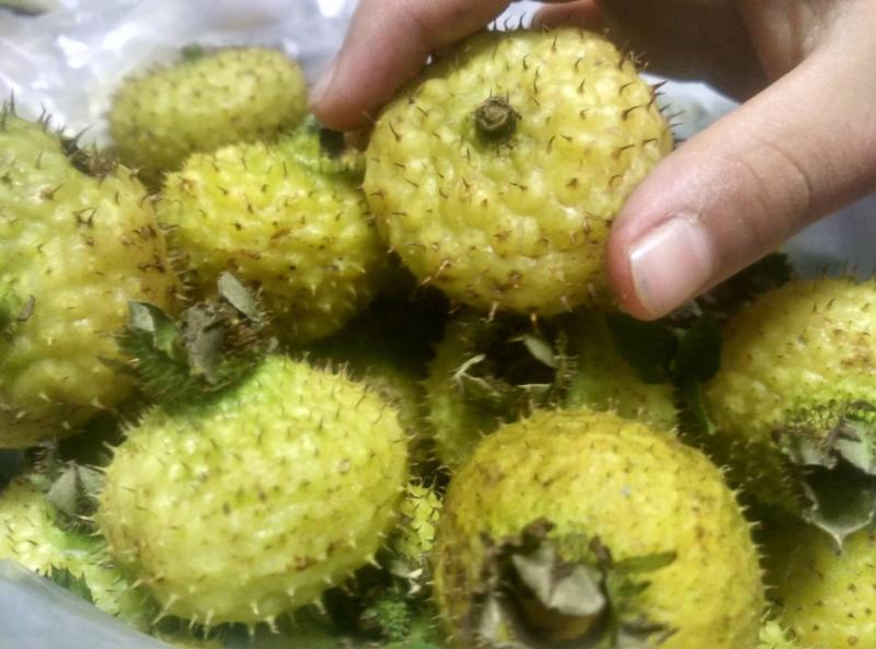 贵州赤水刺梨鲜果，干果