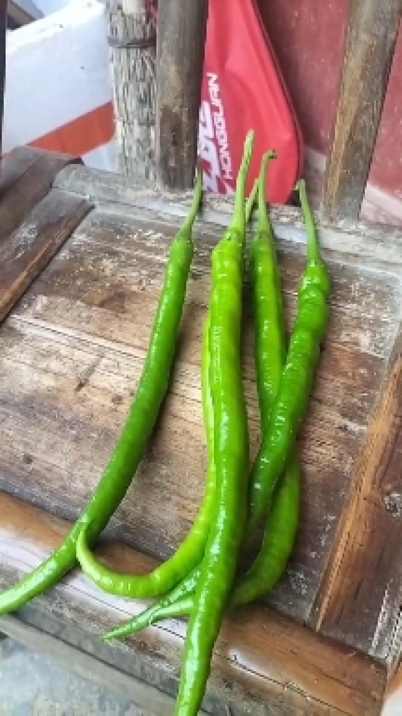 高上线椒绿色蔬菜