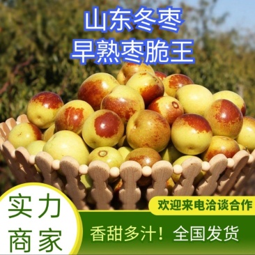 【冬枣】沾化冬枣，支持一件代发，多多美团仓
