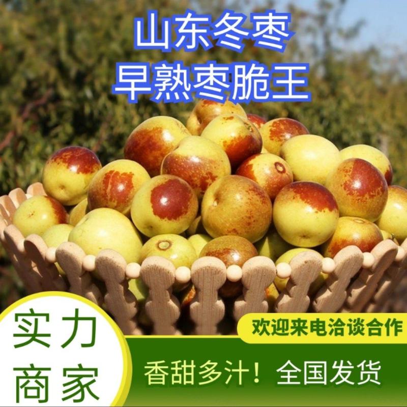 【冬枣】沾化冬枣，支持一件代发，多多美团仓