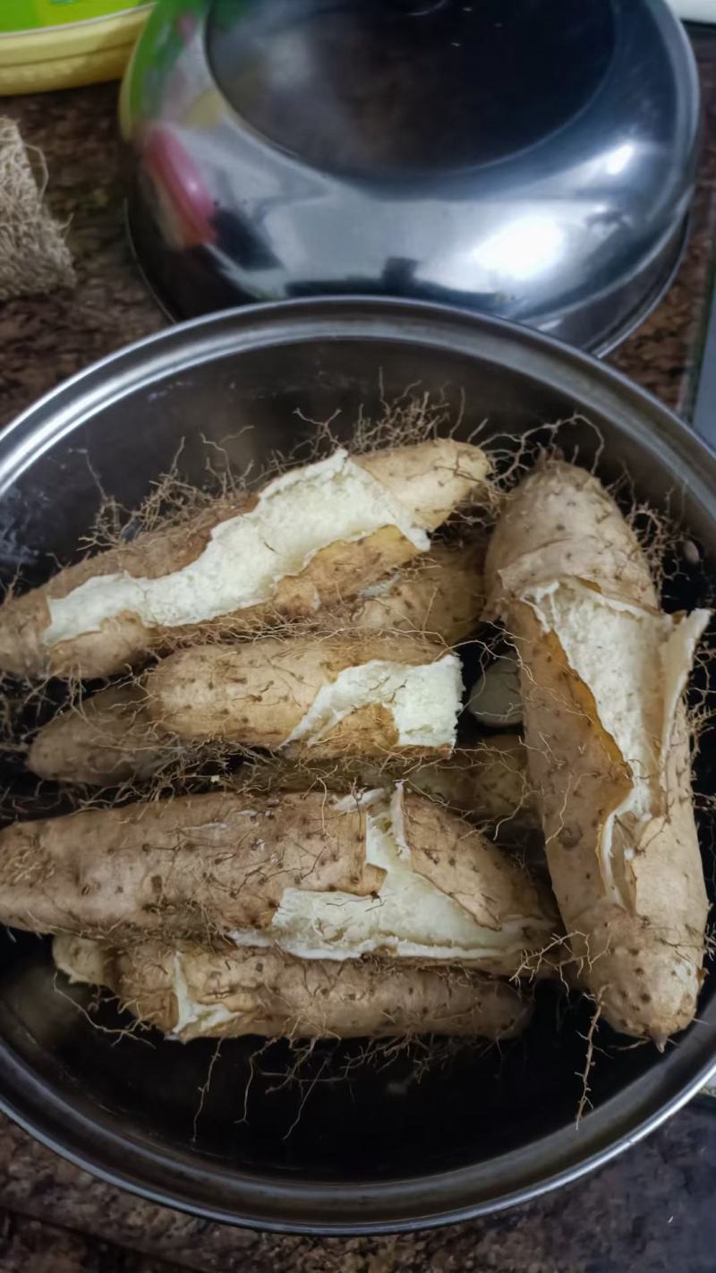 湛江毛薯大量上市粉糯可口