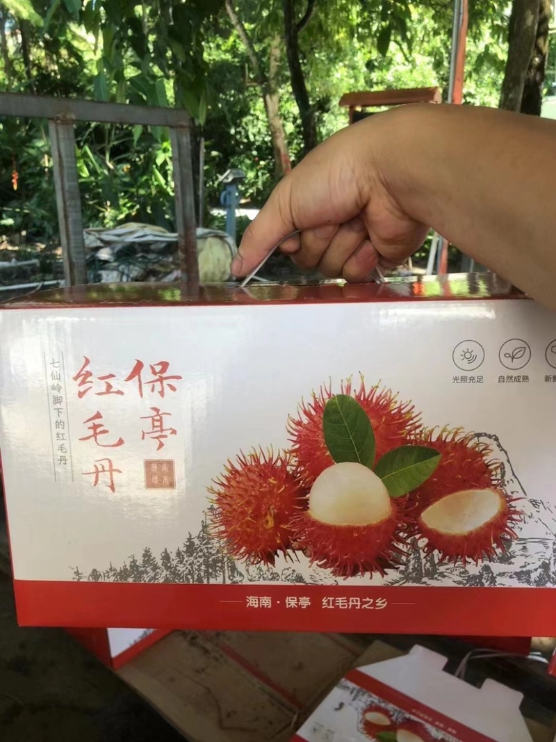 海南保亭红毛丹4567号果供应批发市场社区团购落地配
