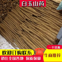 山东白玉山药，量大从优，欢迎各位老板随时致电咨询洽谈合作